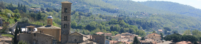 Bolsena